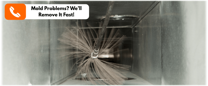 Air Duct Mold Removal in Pasadena CA