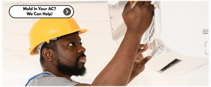 HVAC Mold Removal Pasadena CA